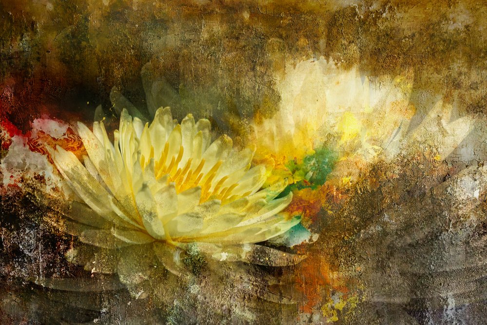 Flor de loto dorada de Igor Kopcev