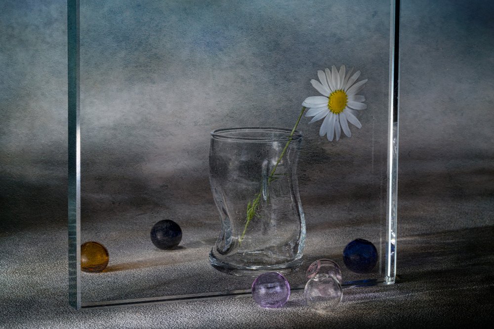 Reflejos tranquilos de margaritas de Igor Kopcev