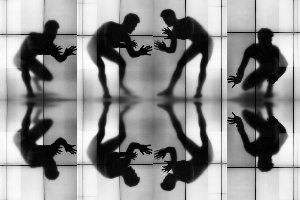 Siluetas dinámicas reflejadas de Igor Shrayer