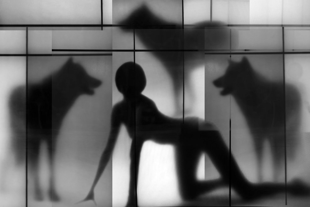 Las sombras de la mujer y el lobo de Igor Shrayer