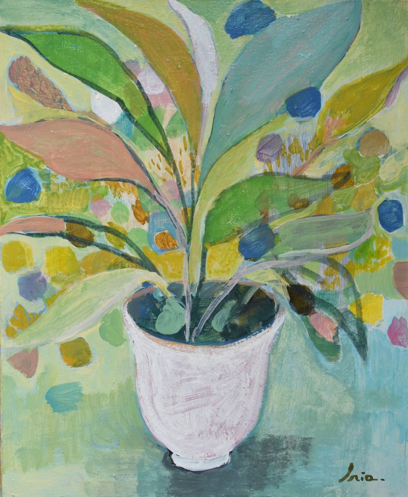 Planta en maceta de colores vivos de Iria Fernandez