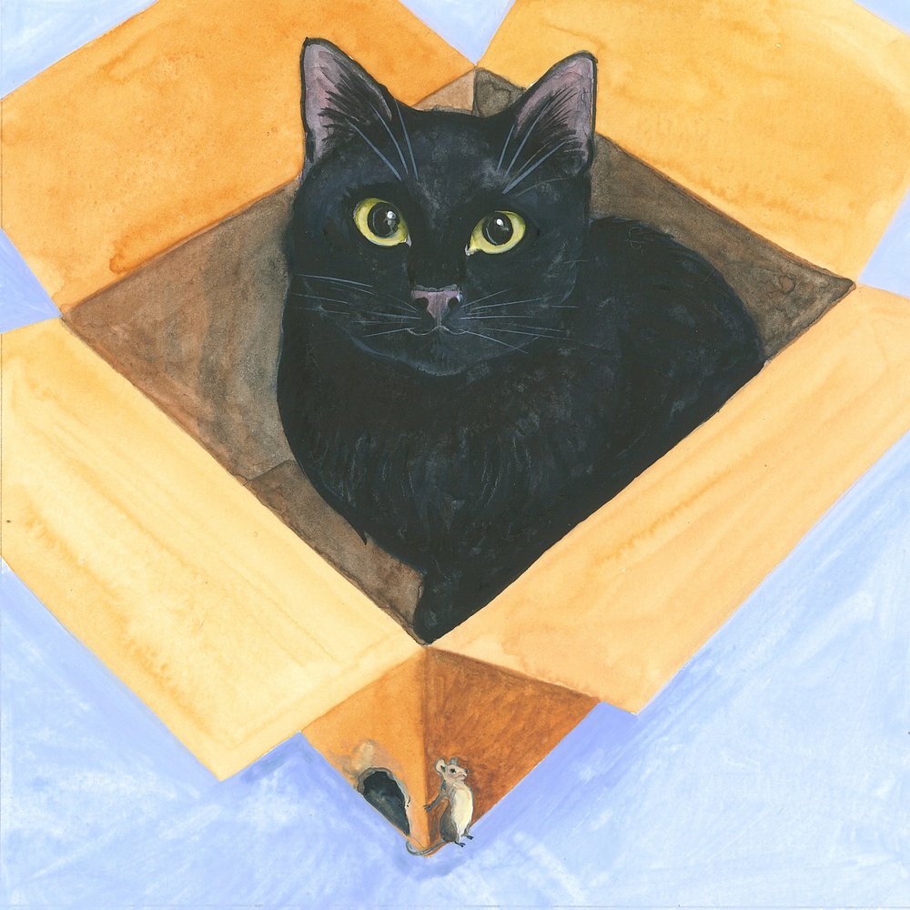 Gato en la caja de Isabelle Brent