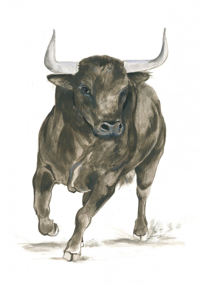 Poder de un toro embistiendo de Isabelle Brent