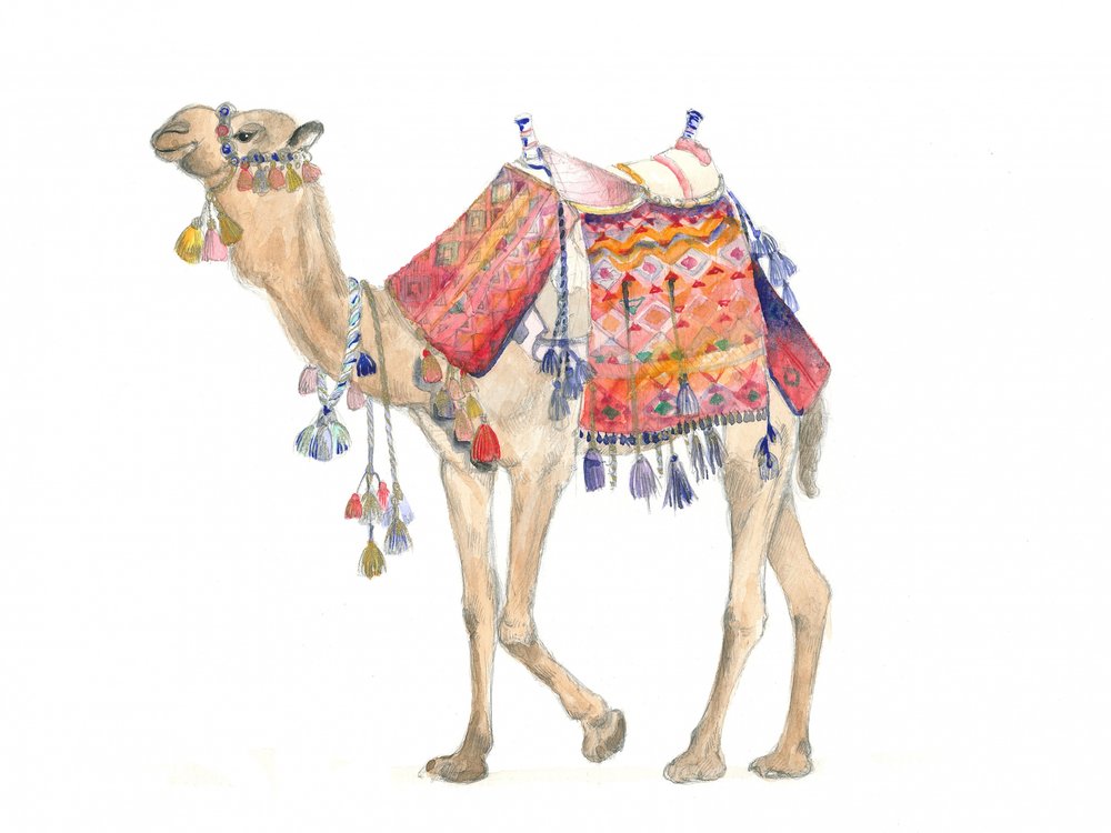 Elegancia del desierto de Isabelle Brent