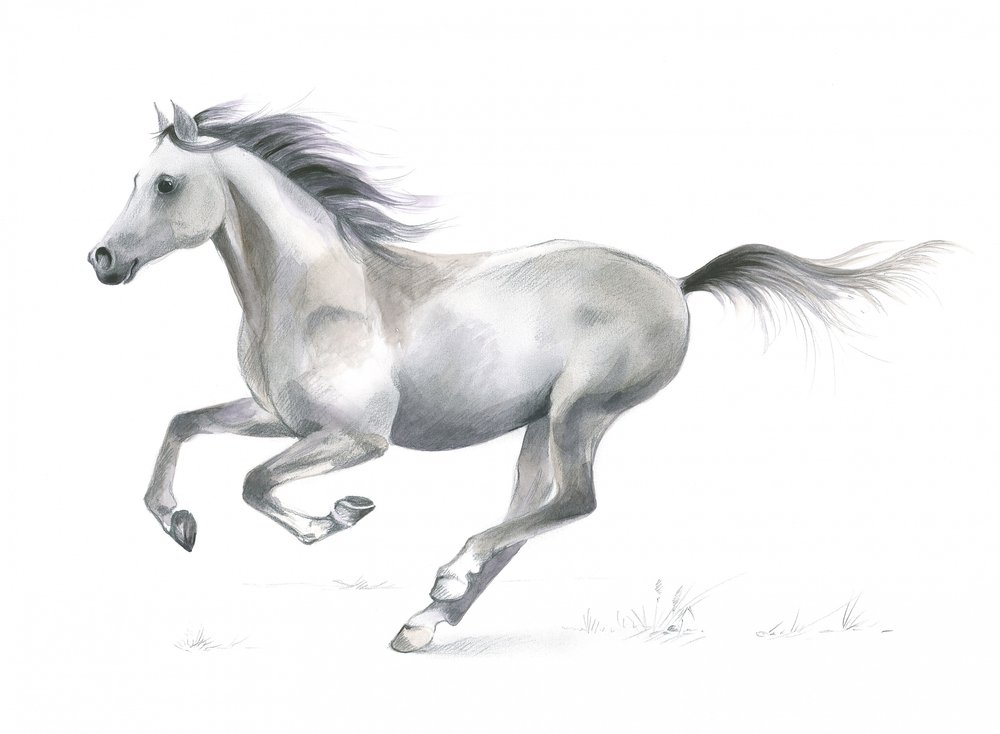 Gracia dinámica de un caballo al galope de Isabelle Brent