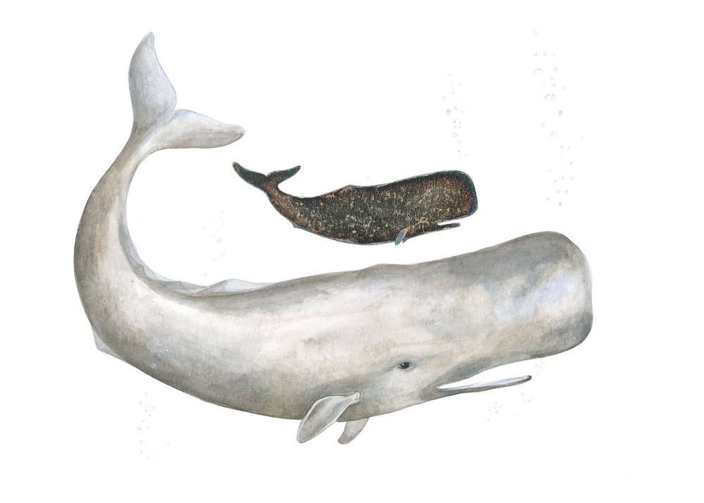 Gigantes gentiles del océano de Isabelle Brent