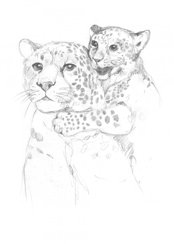 Leopardos de Isabelle Brent