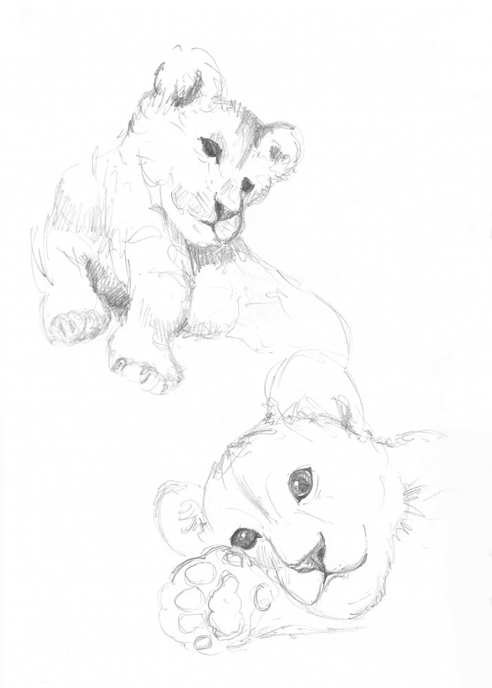 Cachorros de león de Isabelle Brent