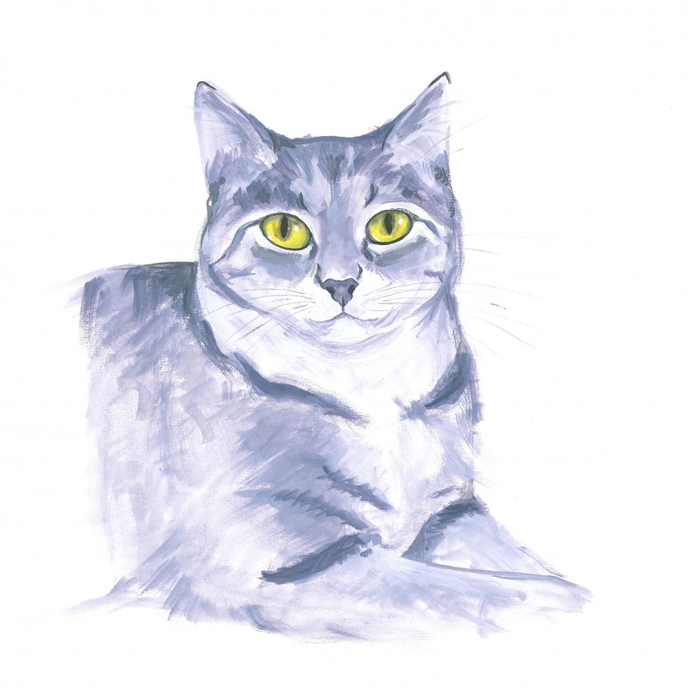 Gato observador de Isabelle Brent