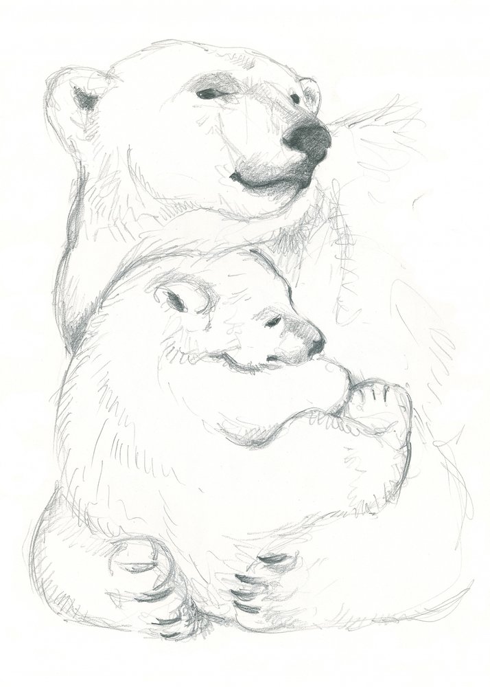Dibujo de oso polar y cría de Isabelle Brent