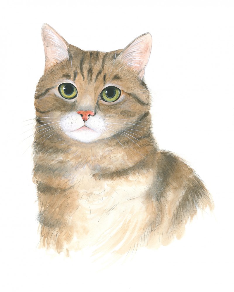 Gatito Plato de Isabelle Brent
