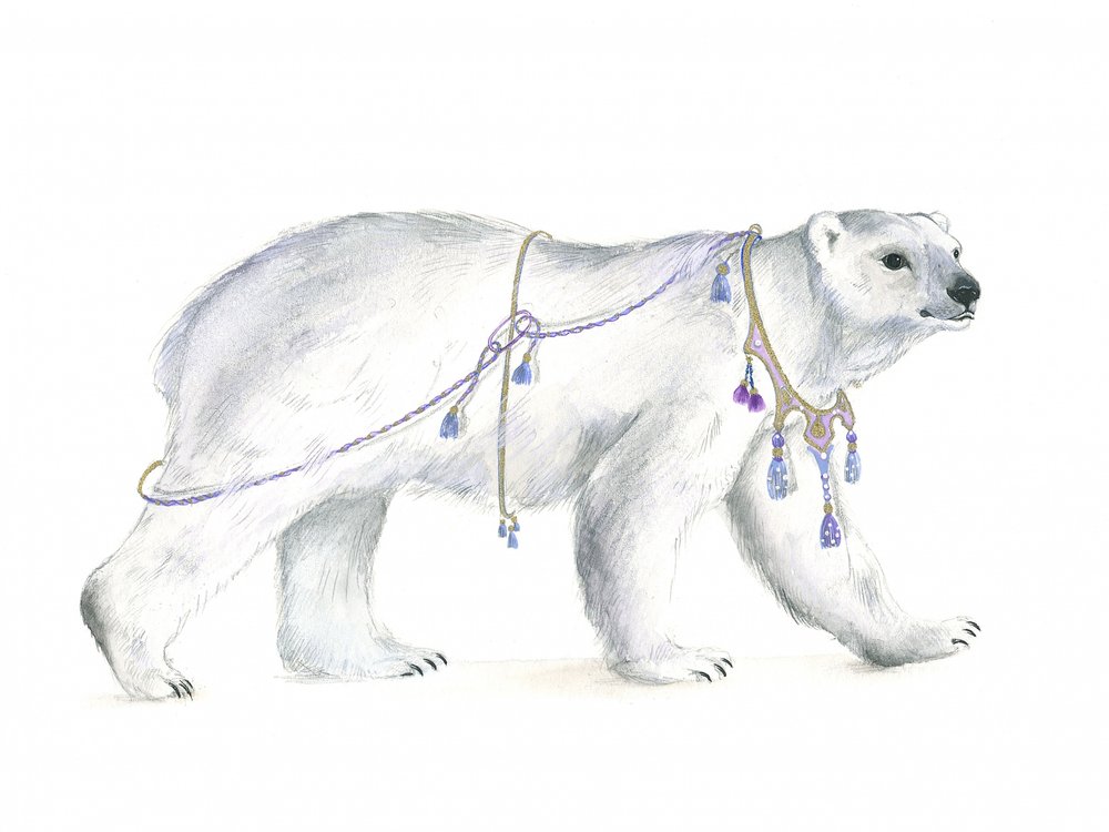 Majestad polar regia de Isabelle Brent