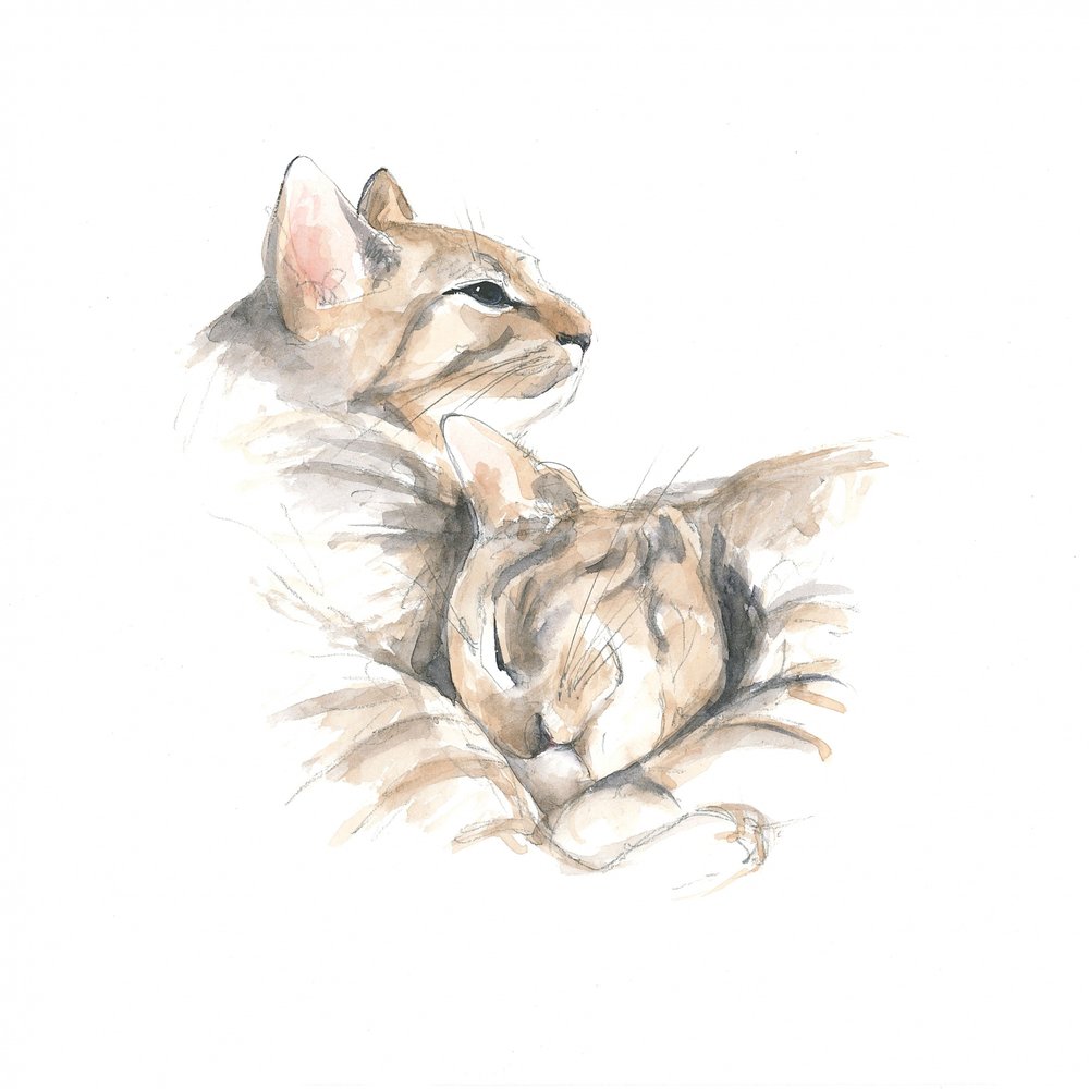 Gatos relajados de Isabelle Brent