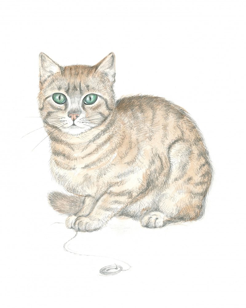 Gato atigrado y botón de Isabelle Brent