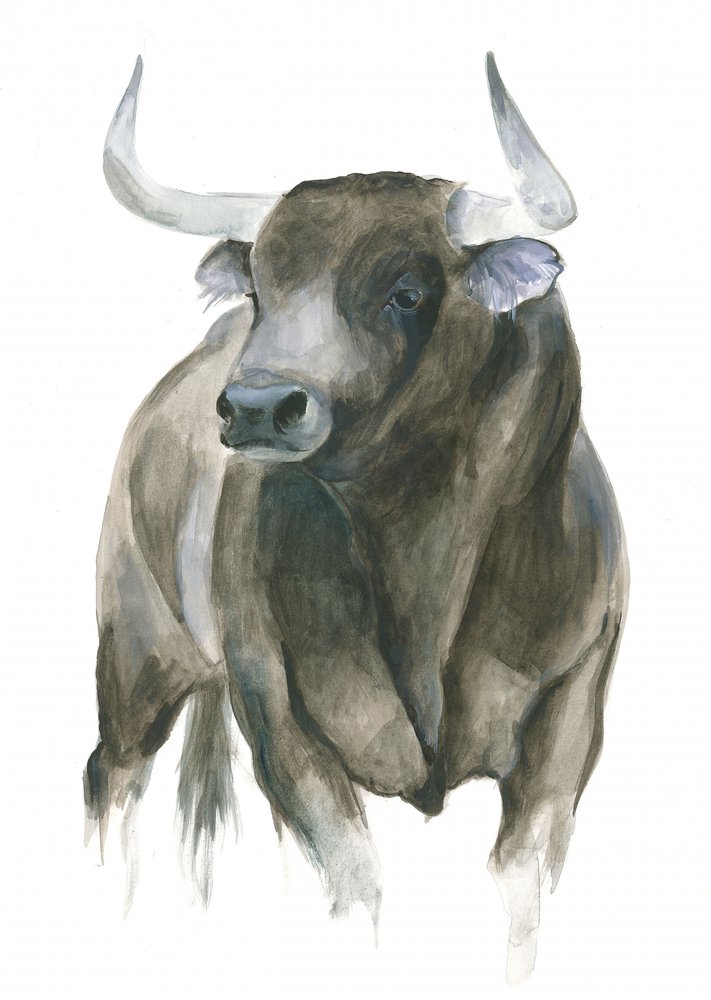 La fuerza y la elegancia de un toro de Isabelle Brent
