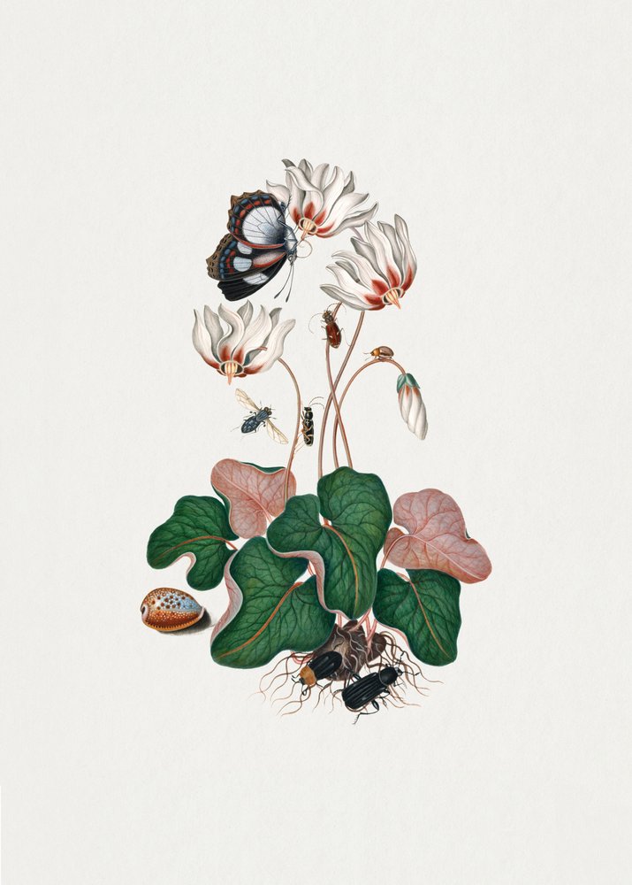 de James Bolton