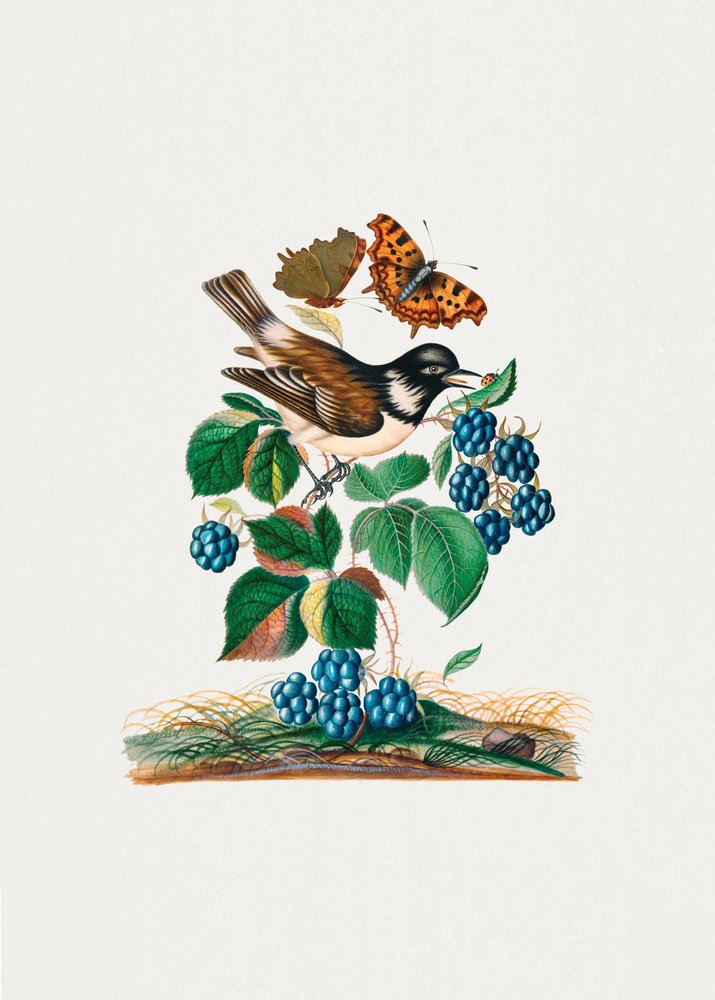  de James Bolton