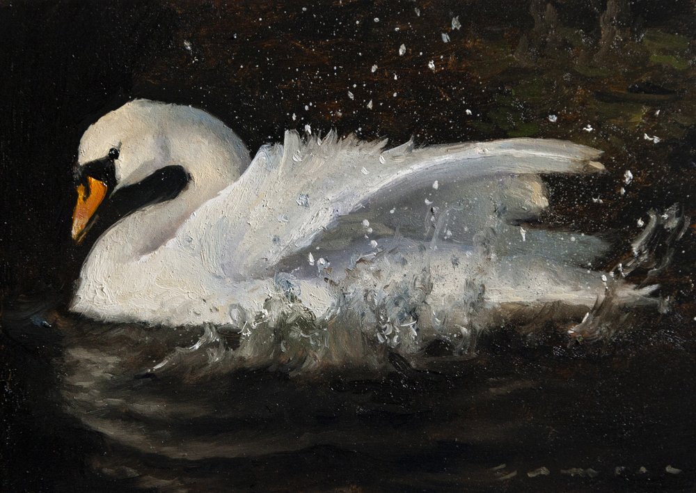 El cisne danzante de James Zamora