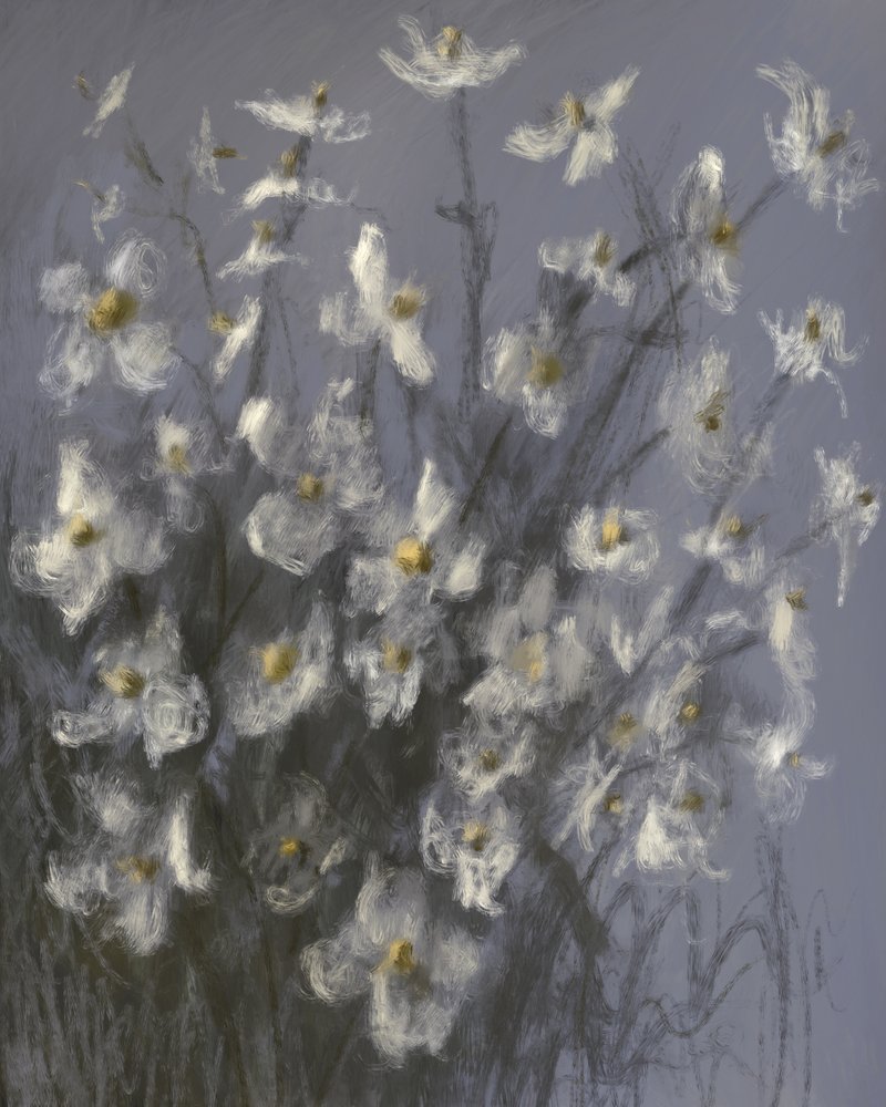 Flores blancas de ensueño de James Zamora