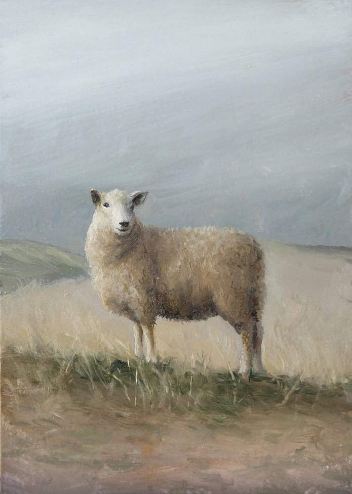 Ovejas de pastoreo de James Zamora