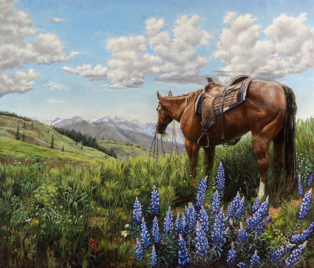 Caballo en un prado de montaña de Jan Clizer
