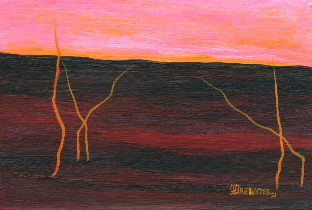 Horizonte del desierto ardiente de Janine Brewster