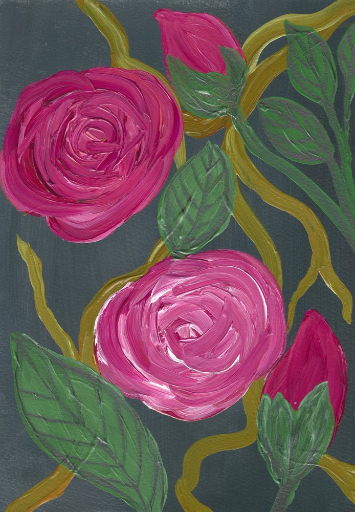 Rosas rosas exuberantes de Janine Brewster