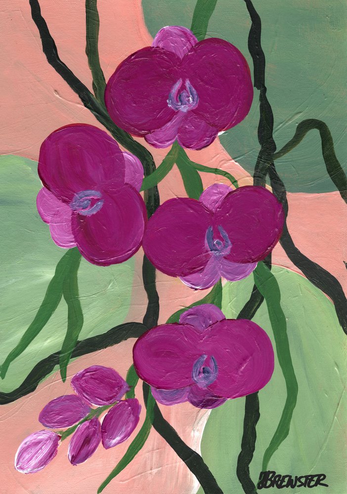 Flores de orquídea magenta de Janine Brewster