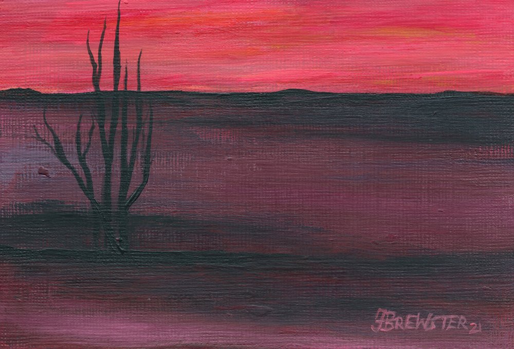 Crepúsculo rosa en el desierto de Janine Brewster