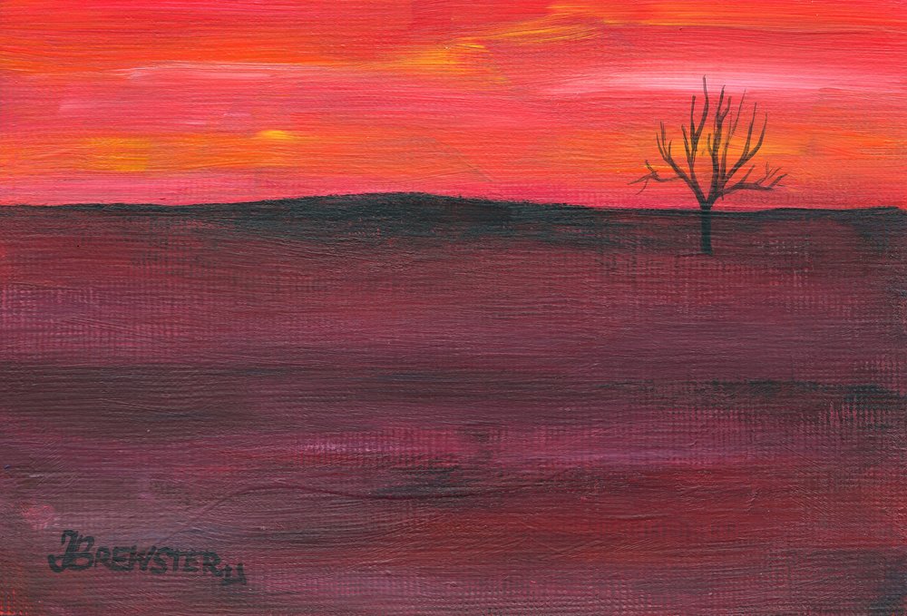 Árbol solitario al atardecer de Janine Brewster