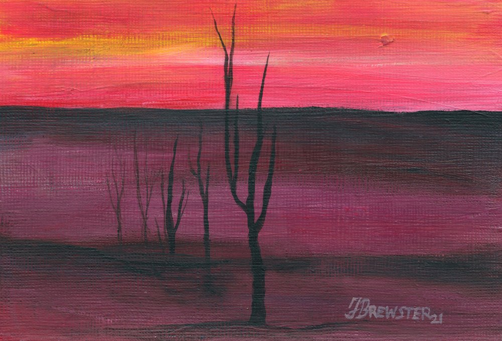 Una puesta de sol vibrante en el desierto de Janine Brewster