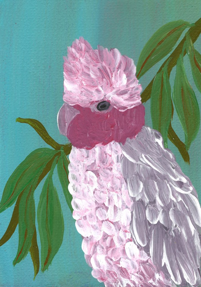 Cacatúa rosa brillante de Janine Brewster