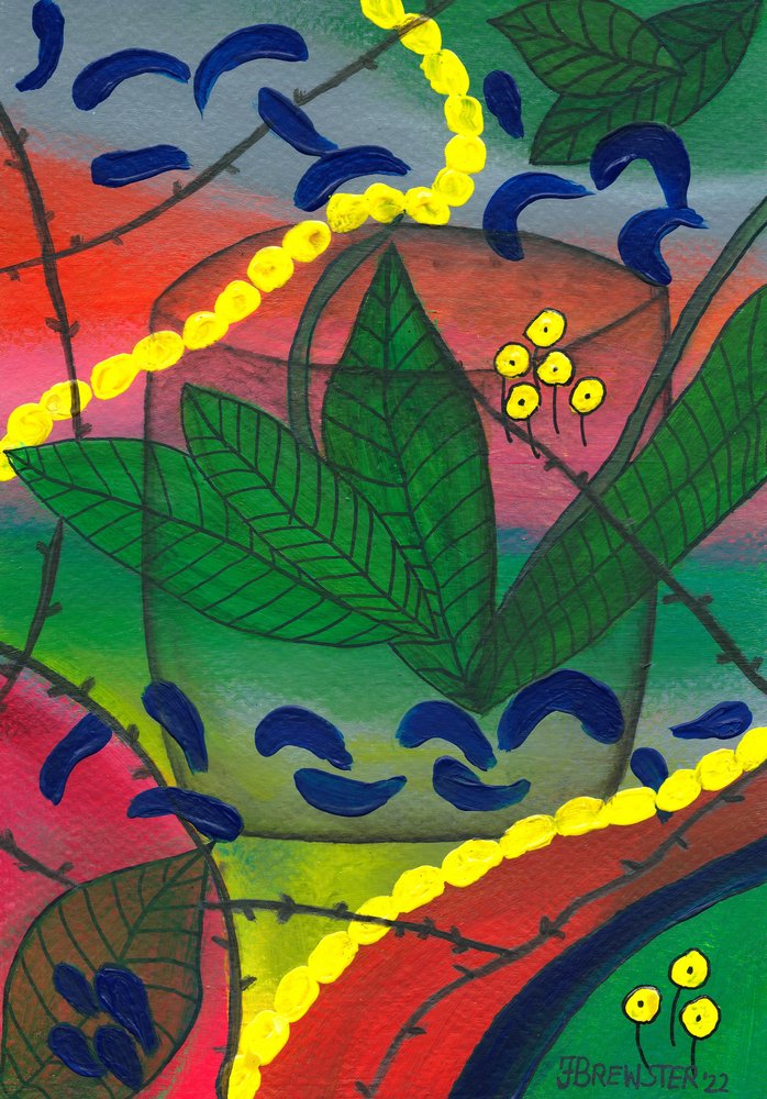 Planta en maceta de colores vivos de Janine Brewster