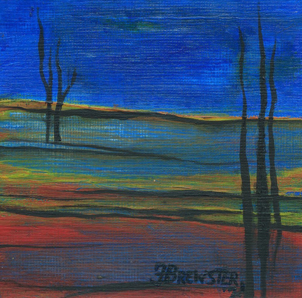 Paisaje crepuscular lleno de vida de Janine Brewster