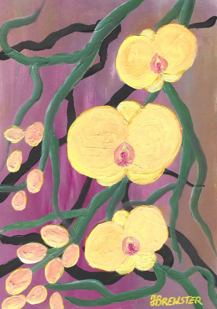 Orquídeas de un amarillo intenso de Janine Brewster