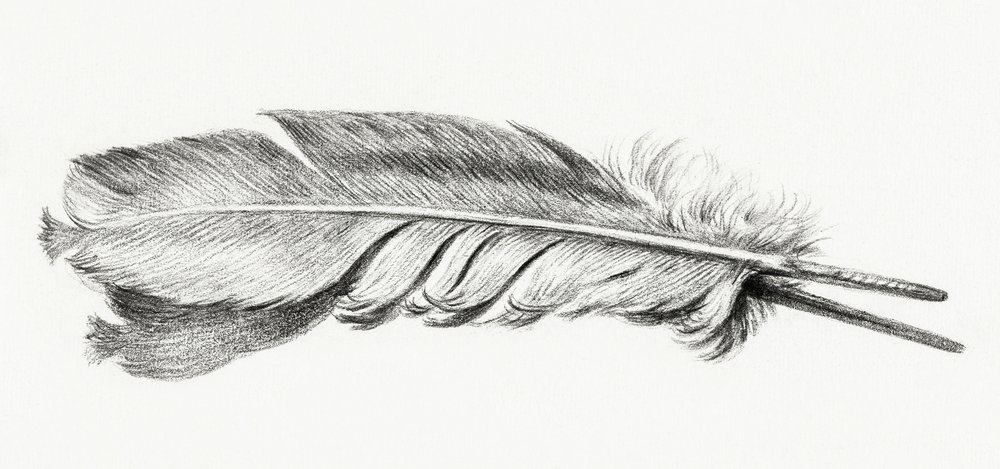 Pluma de Jean Bernard