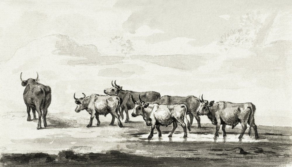 Grupo de seis toros de Jean Bernard