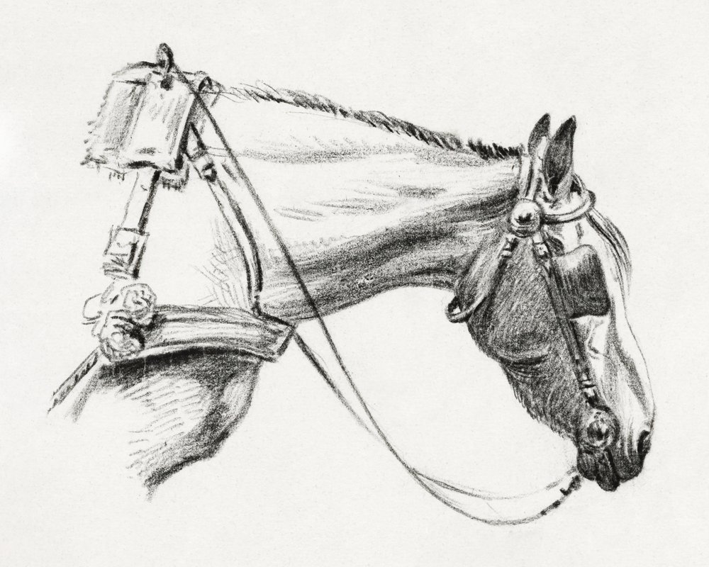 Cabeza de caballo (1820) de Jean Bernard