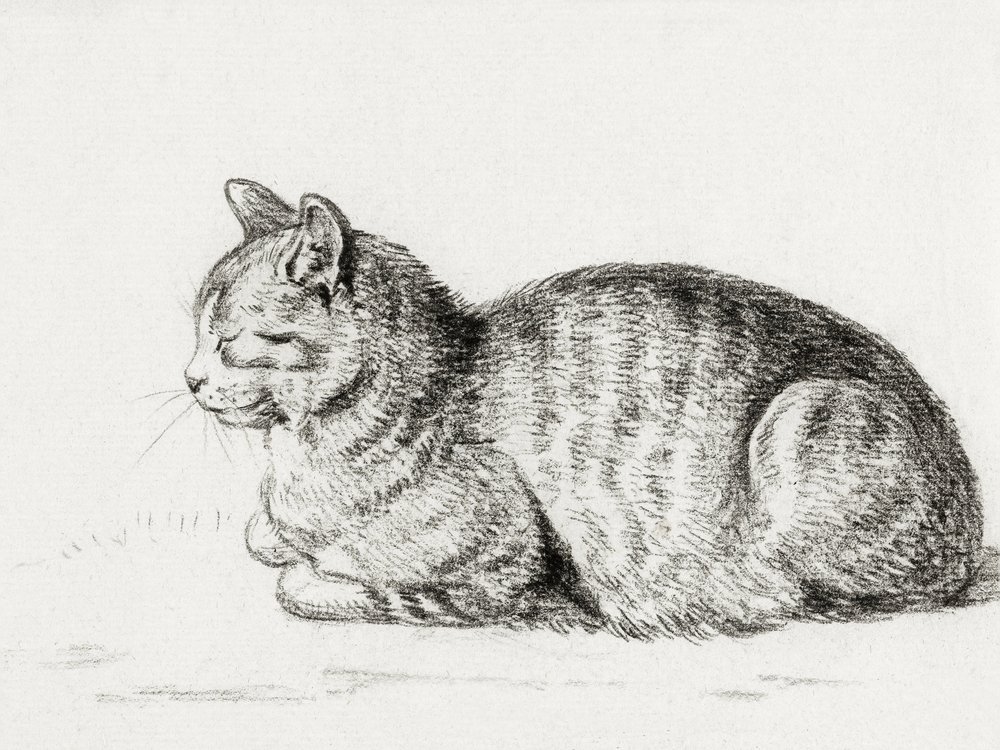 El gato tumbado (1811) de Jean Bernard