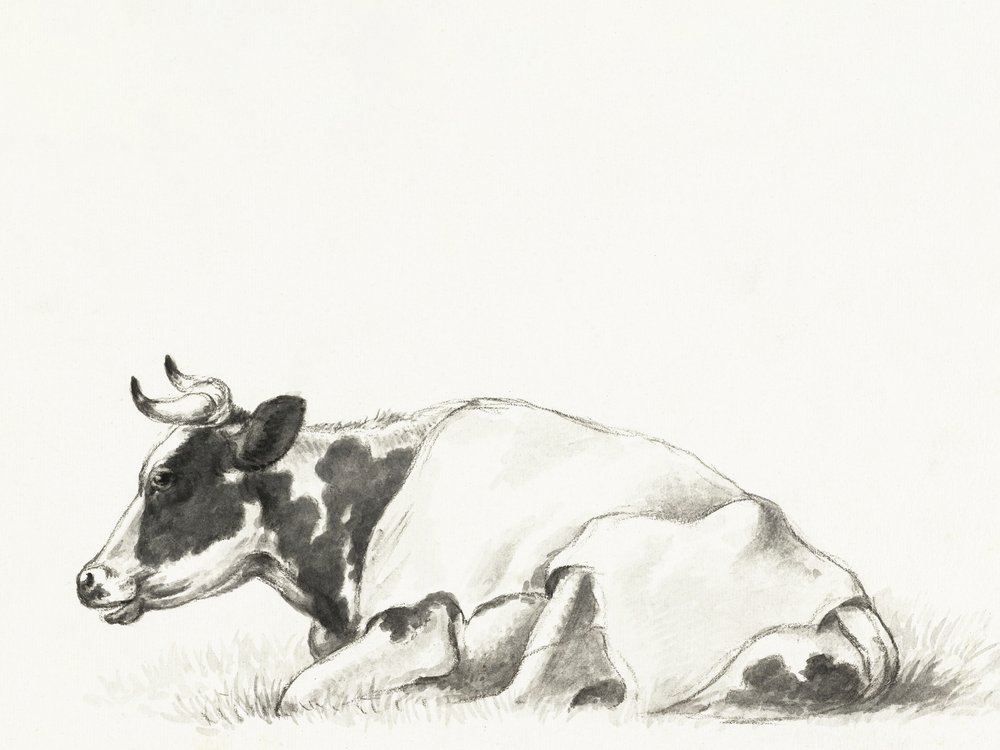 «La vaca tumbada», de Jean Bernard de Jean Bernard