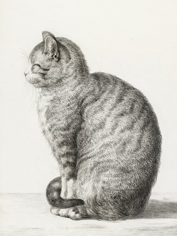 Gato sentado (1815) de Jean Bernard