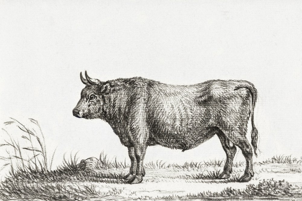 Toro de Pie de Jean Bernard