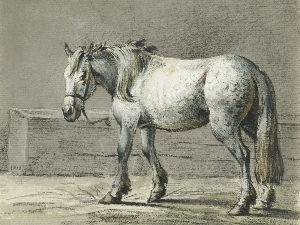 Caballo de pie (1810-1816), de Jean Bernard de Jean Bernard