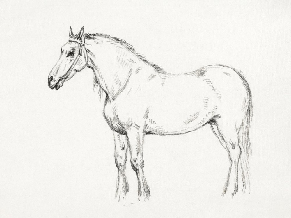 Caballo de pie (1818) de Jean Bernard