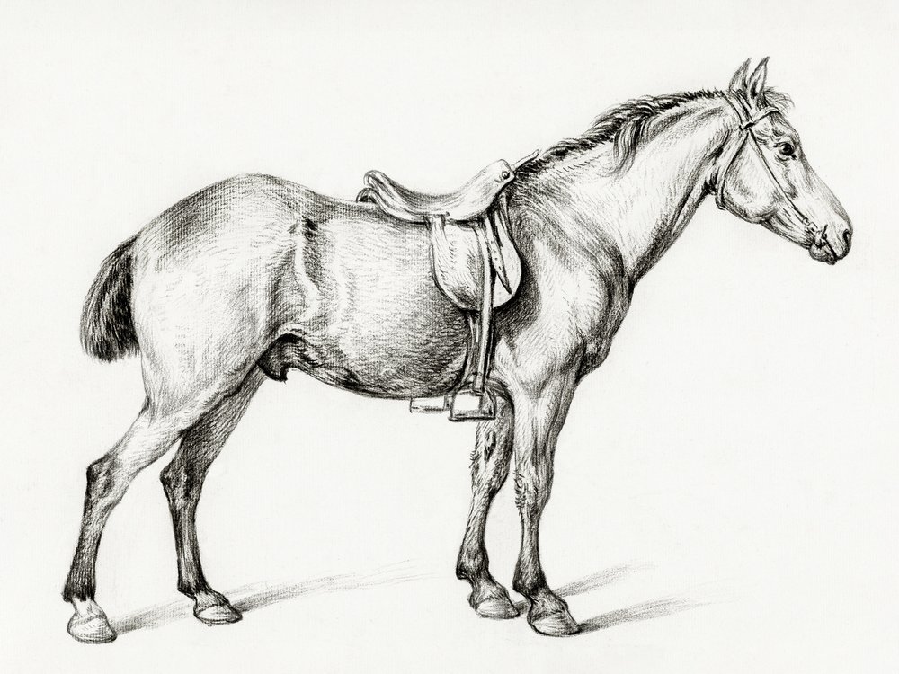 «Caballo de pie», de Jean Bernard (1775-1883) de Jean Bernard
