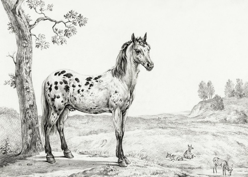 Caballo moteado de pie de Jean Bernard