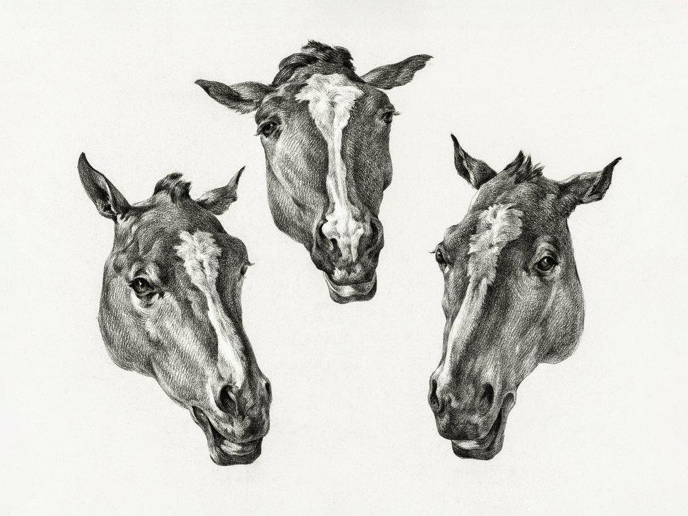 Tres cabezas de caballo (1812) de Jean Bernard