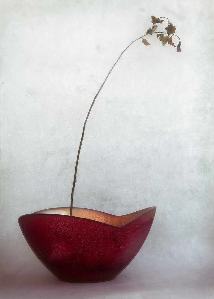  de Jeffrey Hummel