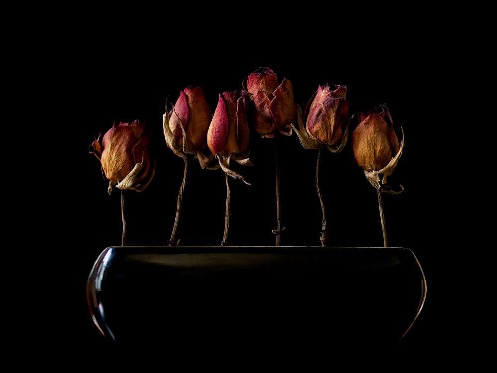  de Jeffrey Hummel