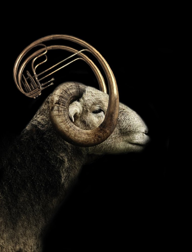 Perfil de Ram en el ámbito musical de Jeffrey Hummel